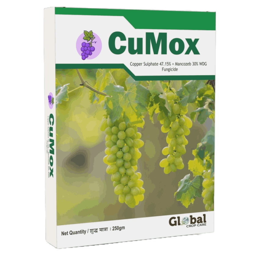 CuMox (Copper Sulphate 47.15% + Mancozeb 30% WDG) - Global Crop Care